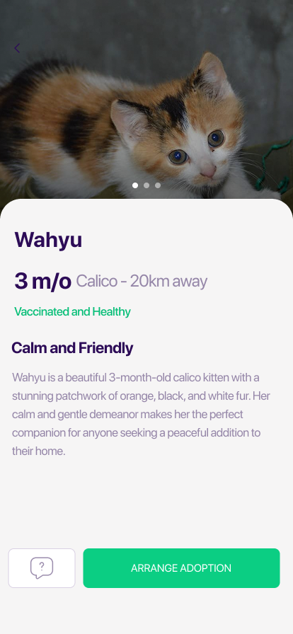 StrayConnected App Mockup